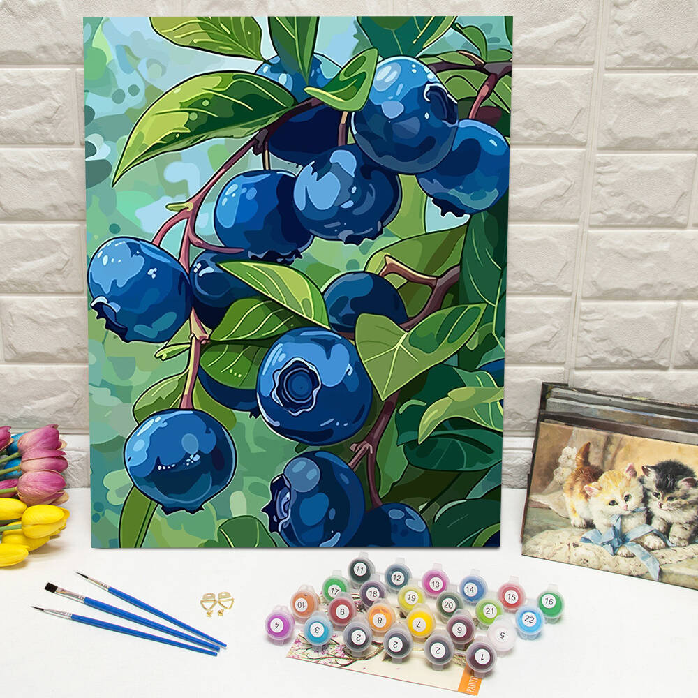 DIY Drawing By Numbers Blueber - Art Craft Gifts For Adults recension och pris