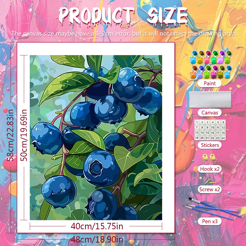 DIY Drawing By Numbers Blueber - Art Craft Gifts For Adults recension och pris
